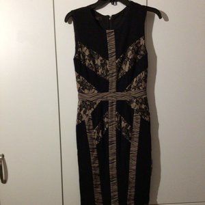 XS BCBG Sheatd Dress Used